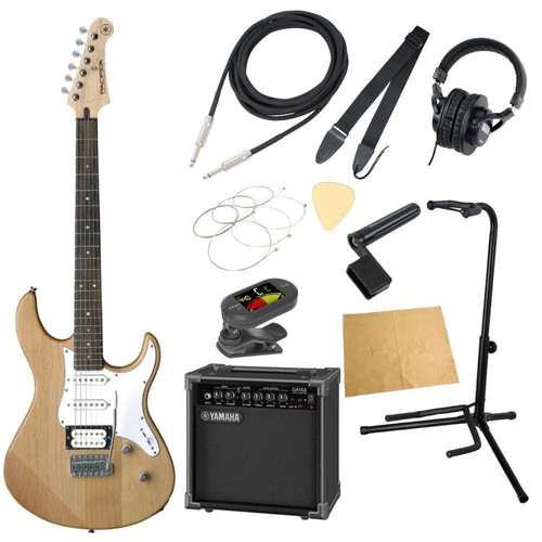 Electric guitar introductory - electric,